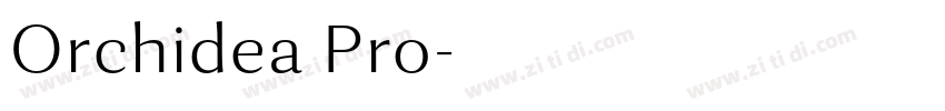 Orchidea Pro字体转换